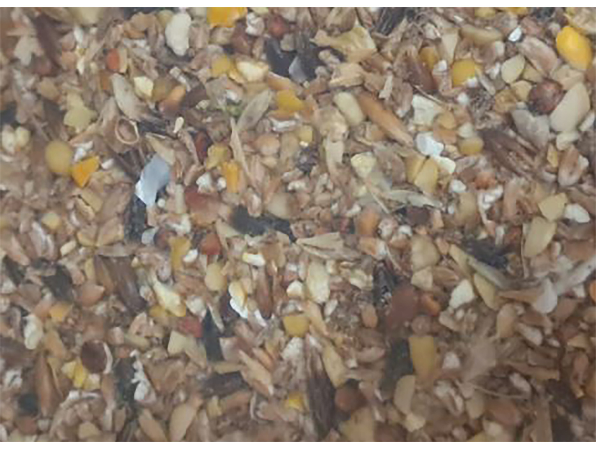 Mélange broyé pour poules pondeuses 20kg